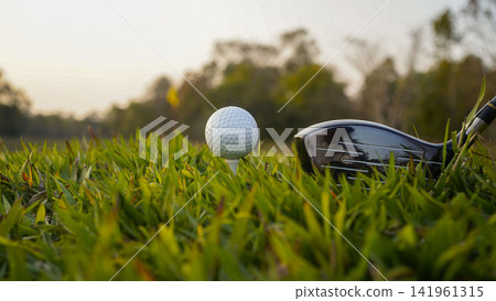 Golf clubs and balls on a green lawn in a beautiful golf course with morning sunshine. Golf clubs and balls on a green lawn in a beautiful golf course with morning sunshine. 141961315
