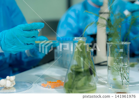 Scientists with research into natural medicine, natural skin care products, laboratories and development concepts. Scientists with research into natural medicine, natural skin care products, laboratories and development concepts. 141961976