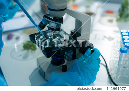 Microbiologists and nutrition experts analyze molecular samples in advanced food science labs. Microbiologists and nutrition experts analyze molecular samples in advanced food science labs. 141961977
