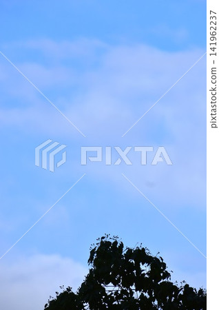 天空是藍色的,漂浮在藍天中的雲朵形狀不斷變化。 天空是藍色的,漂浮在藍天中的雲朵形狀不斷變化。 141962237