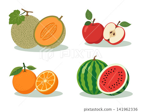 Illustration of four groups of fresh fruits: cantaloupe melon, red apples, oranges, and watermelon. Each group includes whole and half pieces with detailed textures, seeds, and green leaves. Illustration of four groups of fresh fruits: cantaloupe melon, red apples, oranges, and watermelon. Each group includes whole and half pieces with detailed textures, seeds, and green leaves. 141962336