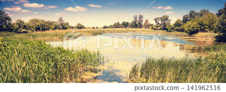 Beautiful nature, lakeshore in summer Beautiful nature, lakeshore in summer 141962516