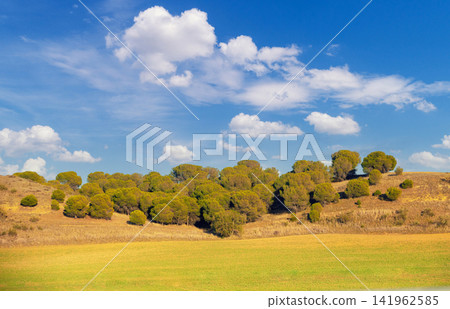 Landscape with arable fields and grove of Stone pine trees on the horizon. Rural landscape in early spring. Spain, Europe Landscape with arable fields and grove of Stone pine trees on the horizon. Rural landscape in early spring. Spain, Europe 141962585