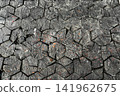 Old Wooden Hexagonal Blocks Floor. Natural Textured Background. 141962675