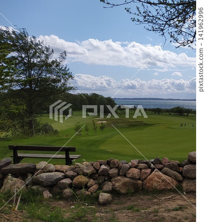 A field with trees near the sea - golf course 141962996