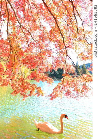 [Southern Alps, Yamanashi Prefecture] Autumn leaves and swans at Lake Inagako 141963392