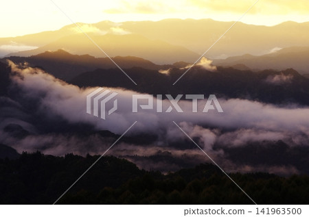 This is a late autumn scene in Ikeda Town, Nagano Prefecture, with the seven-colored giant maple tree and the clouds rising below. This is a late autumn scene in Ikeda Town, Nagano Prefecture, with the seven-colored giant maple tree and the clouds rising below. 141963500