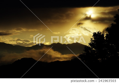 This is a late autumn scene in Ikeda Town, Nagano Prefecture, with the seven-colored giant maple tree and the clouds rising below. This is a late autumn scene in Ikeda Town, Nagano Prefecture, with the seven-colored giant maple tree and the clouds rising below. 141963503