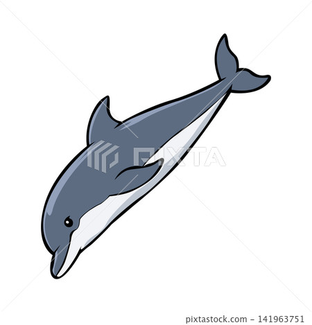 Dolphin mascot logo illustration design template Dolphin mascot logo illustration design template 141963751