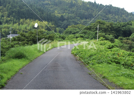 曾經是東北本線鐵路一部分的道路(宮城縣利府町) 曾經是東北本線鐵路一部分的道路(宮城縣利府町) 141963802