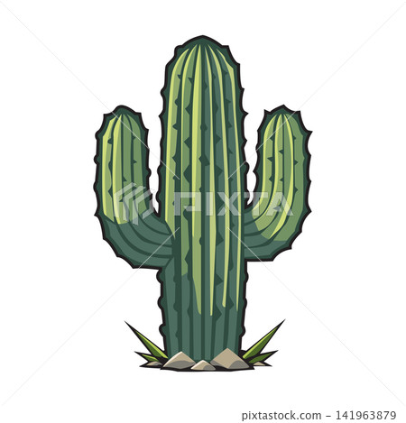 cactus illustration vector design template 141963879
