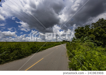 Country Road Through Diverse Agricultural Country Road Through Diverse Agricultural 141963908