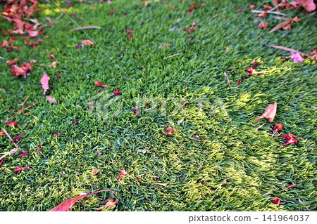 Red and Pink Leaves Scattered on Green Lawn. Red and Pink Leaves Scattered on Green Lawn. 141964037