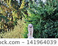 Stone Lion Statue in Lush Garden. 141964039