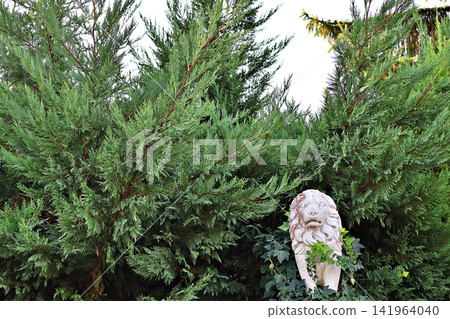 White Lion Statue in Lush Green Garden. 141964040