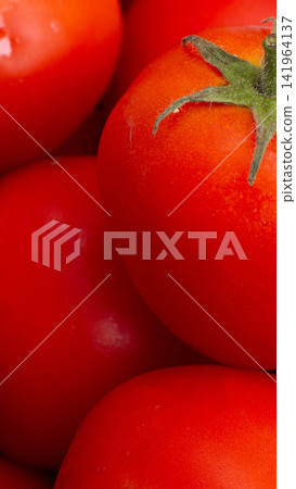 Vibrant red ripe tomatoes with fresh green stem and glistening water droplets, natural organic produce texture, healthy cooking ingredient, bright color studio closeup vertical photo Vibrant red ripe tomatoes with fresh green stem and glistening water droplets, natural organic produce texture, healthy cooking ingredient, bright color studio closeup vertical photo 141964137