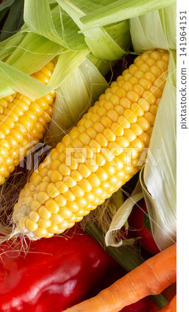 Close up of vibrant yellow corn on cob with green husks, partially peeled, revealing rows of kernels, fresh red bell pepper and orange carrot peeking from bottom, healthy food vertical photo Close up of vibrant yellow corn on cob with green husks, partially peeled, revealing rows of kernels, fresh red bell pepper and orange carrot peeking from bottom, healthy food vertical photo 141964151