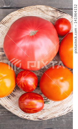 Collection of vibrant red and orange ripe garden tomatoes of different sizes and varieties arranged on rustic wooden cutting board with visible tree ring texture vertical photo Collection of vibrant red and orange ripe garden tomatoes of different sizes and varieties arranged on rustic wooden cutting board with visible tree ring texture vertical photo 141964152