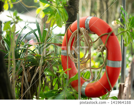 Orange Lifebuoy with Rope Surrounded by Lush Tropical Foliage Orange Lifebuoy with Rope Surrounded by Lush Tropical Foliage 141964188
