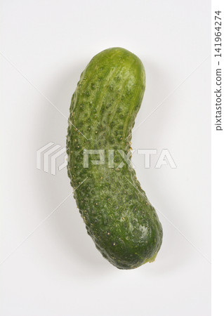 Single green gherkin cucumber on light background Single green gherkin cucumber on light background 141964274