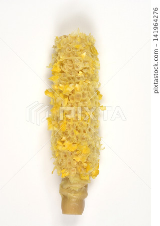 Eaten corn cob on a white background Eaten corn cob on a white background 141964276