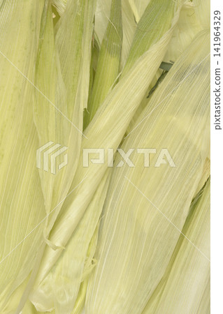 Vertical texture of fresh green corn husks background Vertical texture of fresh green corn husks background 141964329