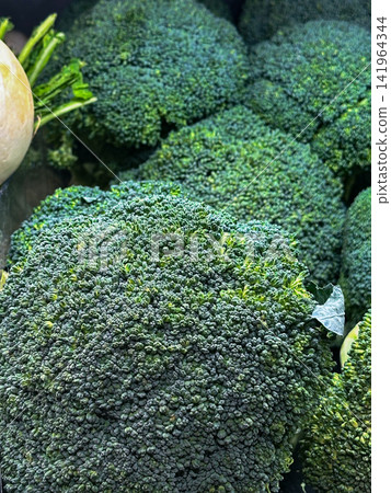 Fresh Green Broccoli Heads Displayed at Produce Market 141964344