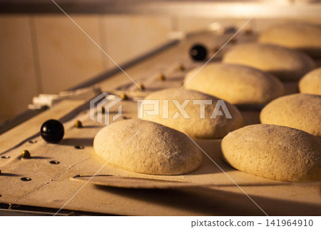 Fresh bread dough loaves arranged on conveyor belt in commercial bakery factory setting, preparation for baking and production of baked goods 141964910