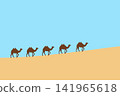 camel, desert, animal 141965618