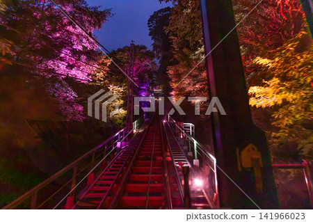 Oyama Cable Car, Oyama Picture Lantern Festival, Illumination [Isehara City, Kanagawa Prefecture] 141966023