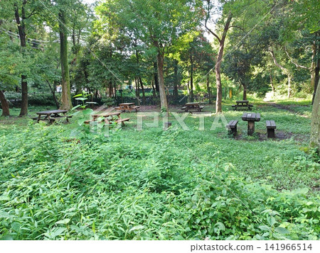 Izumi-no-Mori Park, Yamato City, Kanagawa Prefecture: Valley stream, forest, reservoir, bridge, waterwheel, Hikichi River, water source, special green space conservation. Izumi-no-Mori Park, Yamato City, Kanagawa Prefecture: Valley stream, forest, reservoir, bridge, waterwheel, Hikichi River, water source, special green space conservation. 141966514