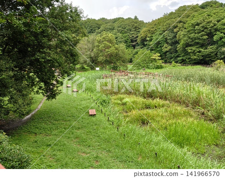 Izumi-no-Mori Park, Yamato City, Kanagawa Prefecture: Valley stream, forest, reservoir, bridge, waterwheel, Hikichi River, water source, special green space conservation. Izumi-no-Mori Park, Yamato City, Kanagawa Prefecture: Valley stream, forest, reservoir, bridge, waterwheel, Hikichi River, water source, special green space conservation. 141966570