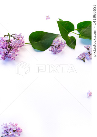 elegant spring flowers composition with lilac and greenery elegant spring flowers composition with lilac and greenery 141966653