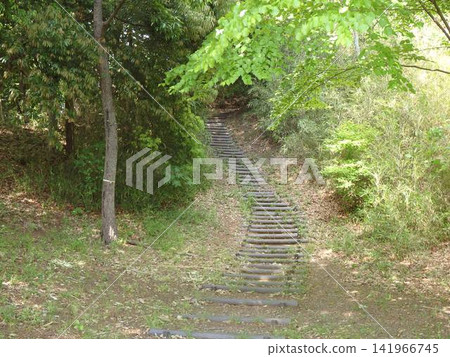 神奈川縣大和市泉之森公園：山谷溪流、森林、水庫、橋樑、水車、引吉川、水源、特殊綠地保護。 141966745