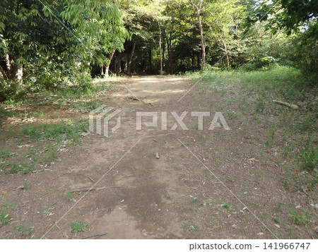 神奈川縣大和市泉之森公園：山谷溪流、森林、水庫、橋樑、水車、引吉川、水源、特殊綠地保護。 141966747