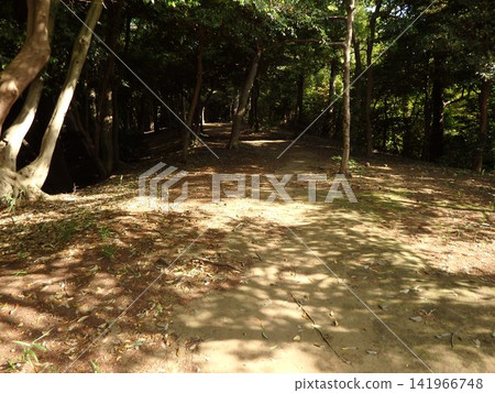 Izumi-no-Mori Park, Yamato City, Kanagawa Prefecture: Valley stream, forest, reservoir, bridge, waterwheel, Hikichi River, water source, special green space conservation. Izumi-no-Mori Park, Yamato City, Kanagawa Prefecture: Valley stream, forest, reservoir, bridge, waterwheel, Hikichi River, water source, special green space conservation. 141966748