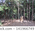 Izumi-no-Mori Park, Yamato City, Kanagawa Prefecture: Valley stream, forest, reservoir, bridge, waterwheel, Hikichi River, water source, special green space conservation. 141966749