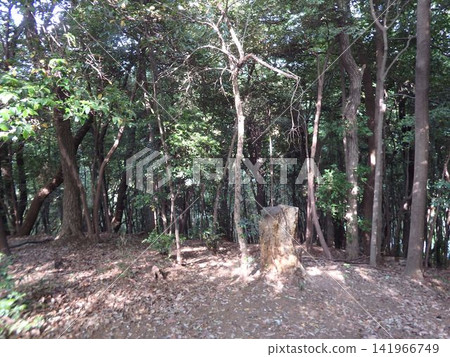 神奈川縣大和市泉之森公園：山谷溪流、森林、水庫、橋樑、水車、引吉川、水源、特殊綠地保護。 141966749