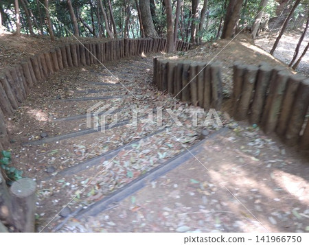 山田富士公園，橫濱市都築區：以當地歷史遺址山田富士為中心的大型公園。 141966750