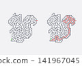 A squirrel maze puzzle with a solution, isolated on a white background. A fun puzzle for kids and adults, an educational activity, a logic game, and a worksheet 141967045