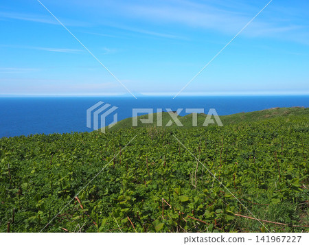 The blue sea of Teuri Island The blue sea of Teuri Island 141967227