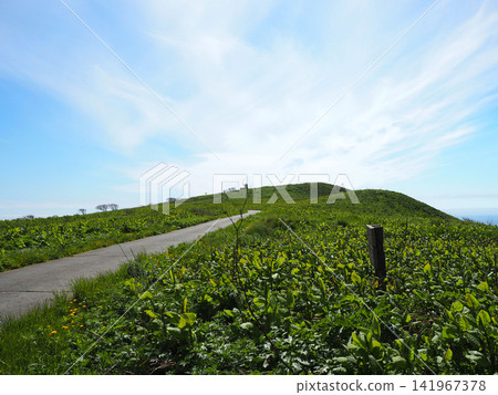 The road leading to Chidorigaura Park The road leading to Chidorigaura Park 141967378