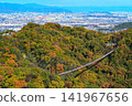 A magnificent panoramic view of Hoshida Park on a clear autumn day, featuring a giant suspension bridge, a forest of autumn leaves, and the city. 141967656