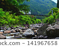The beautiful stream and lush greenery of Fukuchi Valley, a famous spot for clear streams in the Kansai region. 141967658