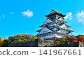 The view of Osaka Castle's main tower and stone walls against the backdrop of a clear blue sky and autumn leaves. 141967661