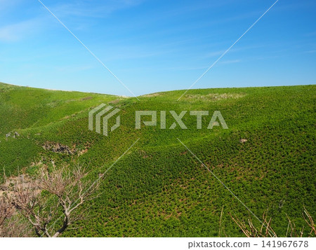 The vast hills of Teuri Island The vast hills of Teuri Island 141967678