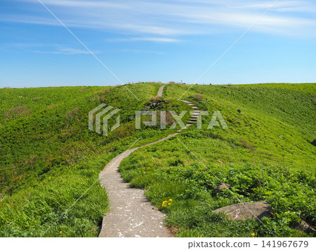 Walking trails in Chidorigaura Park Walking trails in Chidorigaura Park 141967679