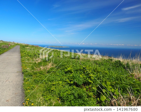 Road scenery on Teuri Island Road scenery on Teuri Island 141967680