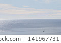 Distant sailboat on calm blue sea beneath a soft pastel sky 141967731