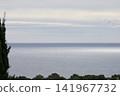 Calm sea horizon under cloudy sky framed by coastal trees 141967732
